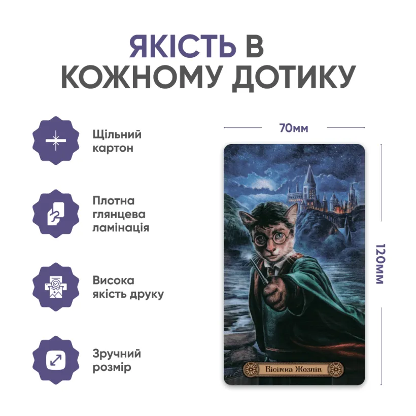 Кото Таро — зворот карт колоди